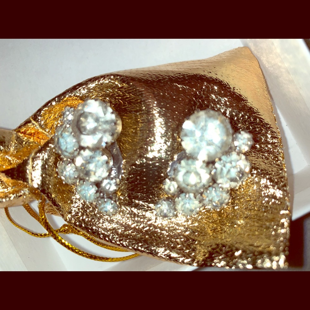 Clip Earrings